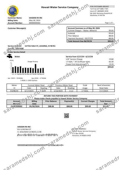 USA Hawaii Water Service Company business utility bill template in Word and PDF formats